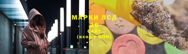 гидра Абаза