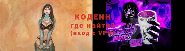 гидра Абаза