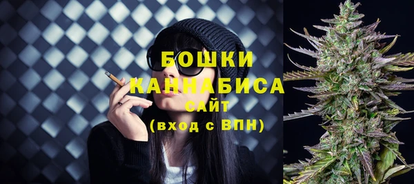 гидра Абаза