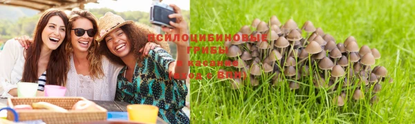 гидра Абаза