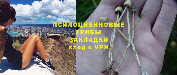 гидра Абаза
