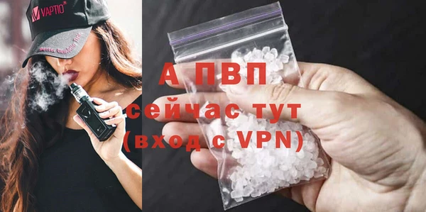 гидра Абаза