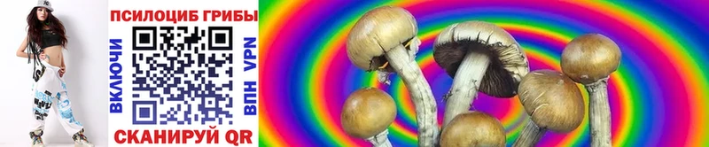 купить  сайты  Павловский Посад  Галлюциногенные грибы MAGIC MUSHROOMS 