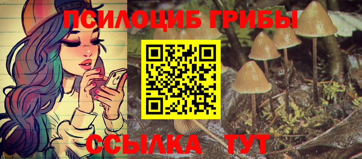 Псилоцибиновые грибы GOLDEN TEACHER  Вход с VPN  Павловский Посад  Псилоцибиновые грибы Magic Shrooms 