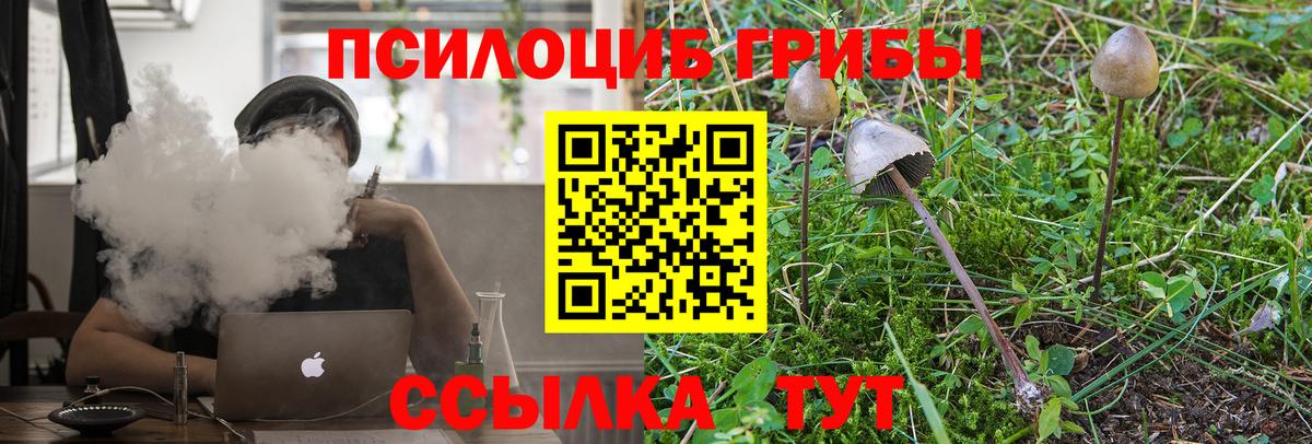 Галлюциногенные грибы Magic Shrooms Павловский Посад